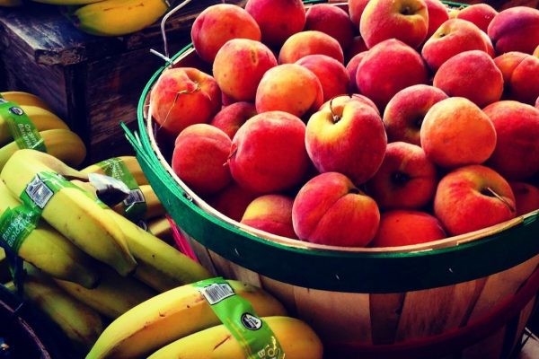 pexels-nancy-folgmann-61762-220911